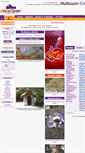Mobile Screenshot of mulhouse.onvasortir.com